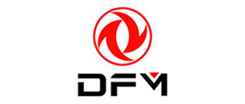 DFM